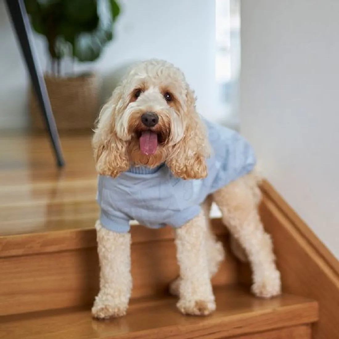 Kazoo Heart Knit Dog Jumper Blue 59cm