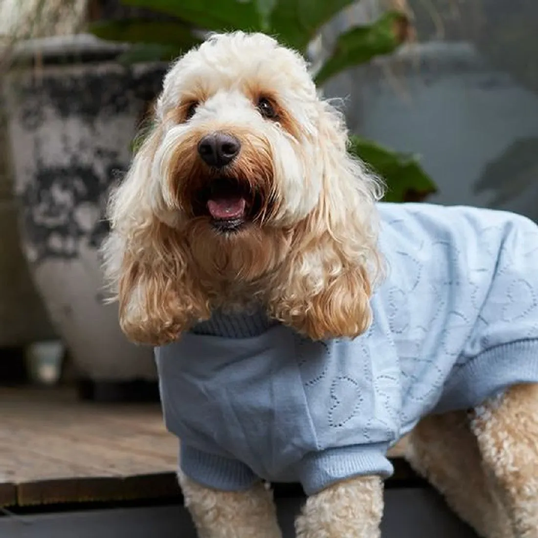 Kazoo Heart Knit Dog Jumper Blue 59cm