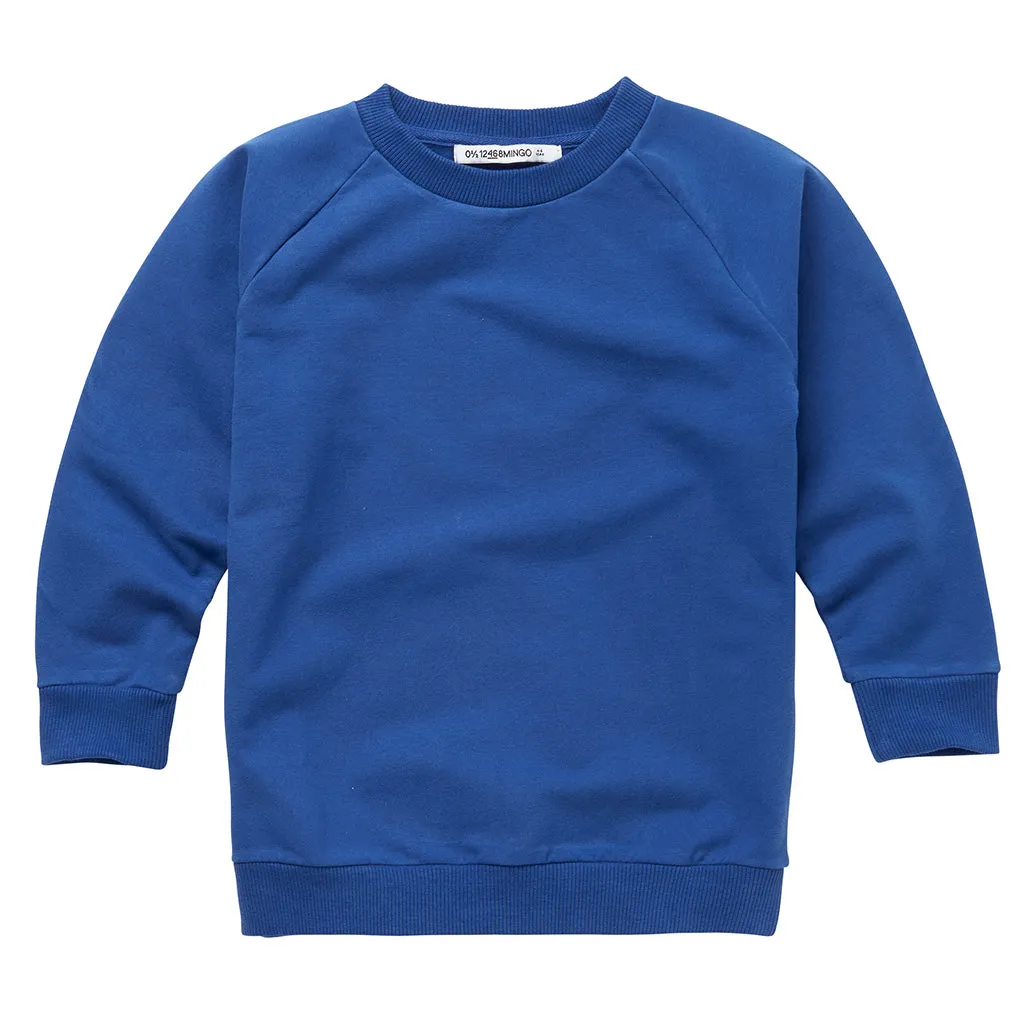 Sweater Raglan Surf the Web